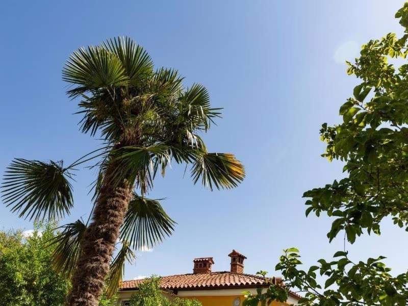 Wohnung in Lucija mit Garten / 2 pax