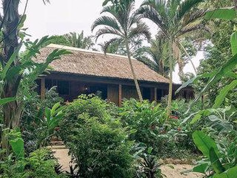 Dschungelabenteuer Lamanai