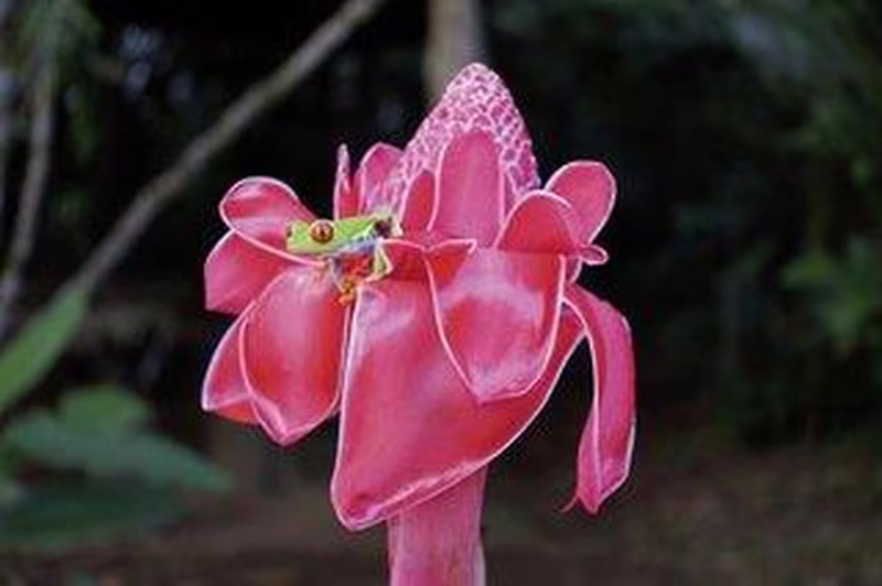 Geheimnisvolles Costa Rica: Vulkane und Regenwald