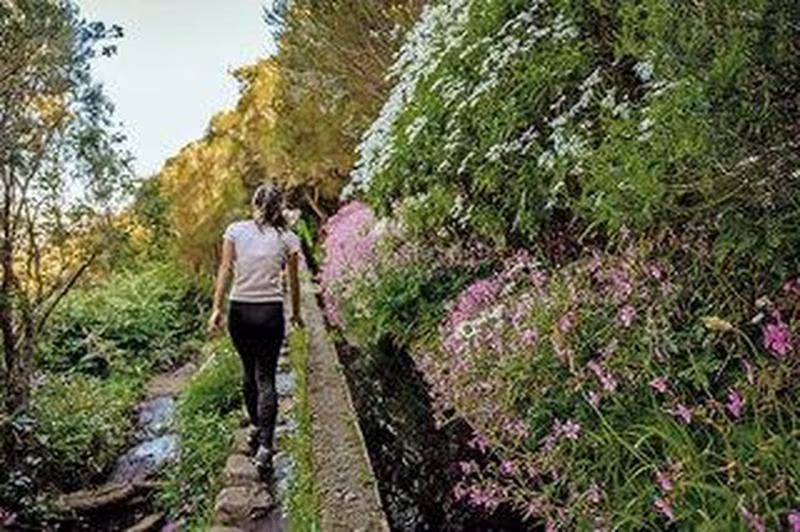 Madeira individuell - von Quinta zu Quinta