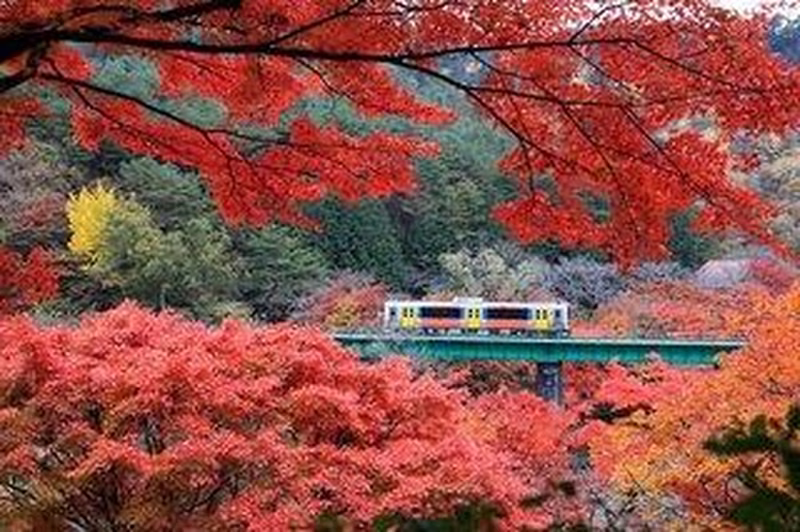 Rundreise - Japan Individuell