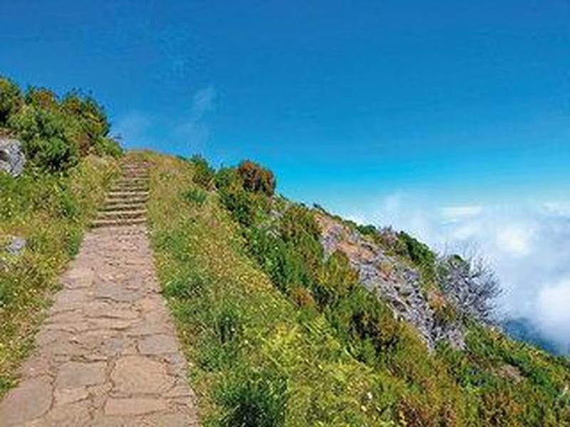 Rund um Madeira