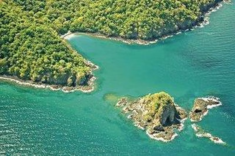 Geheimsvolles Costa Rica: Quetzale & Delfine