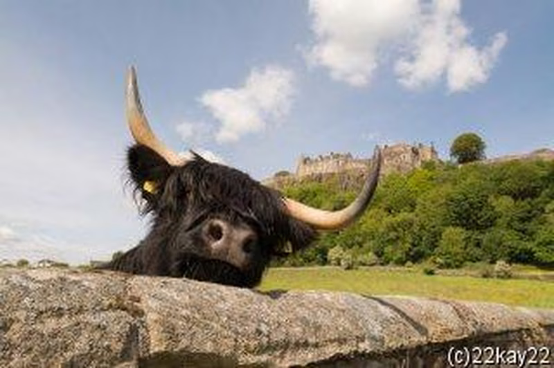 Schottland: Rundreise von Perth bis Edinburgh inkl. Besuch von Loch Ness