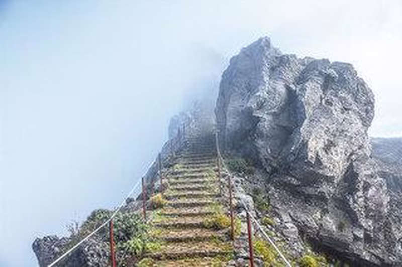 Wanderwoche auf Madeira: die schönsten Levadas
