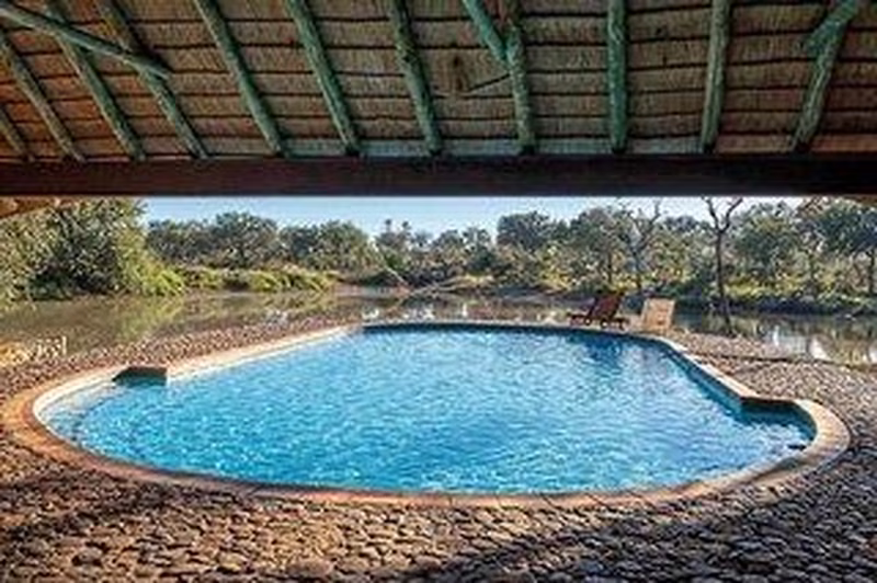 Safari Guide Experience
