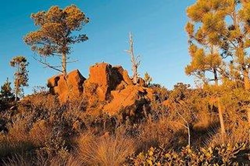 Naturabenteuer Dominikanische Republik
