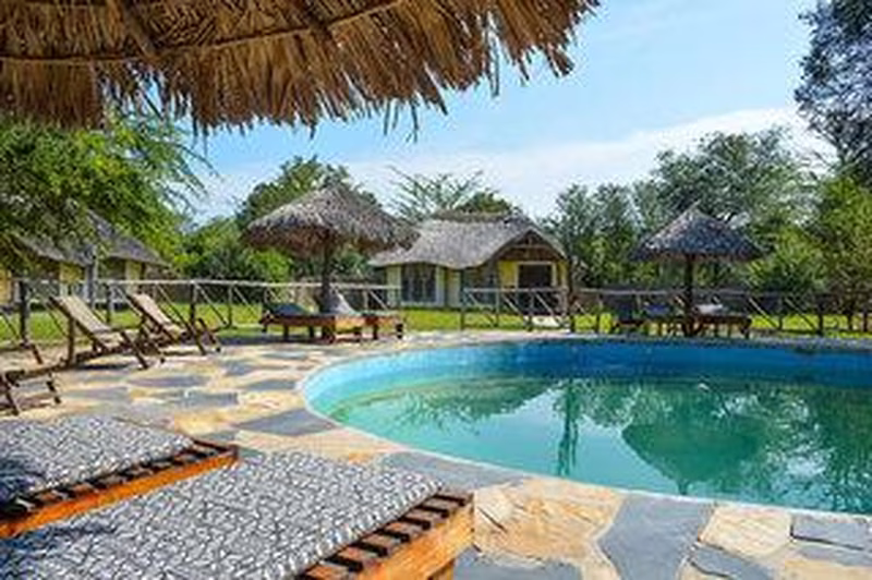 Sansibar & Tansania: Inselträume und Safariabenteuer in Ostafrika