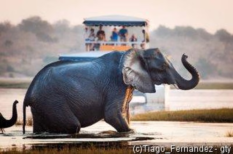 Südafrika, Botswana & Simbabwe: Safari, Wasserfälle & Kulturerbe entdecken