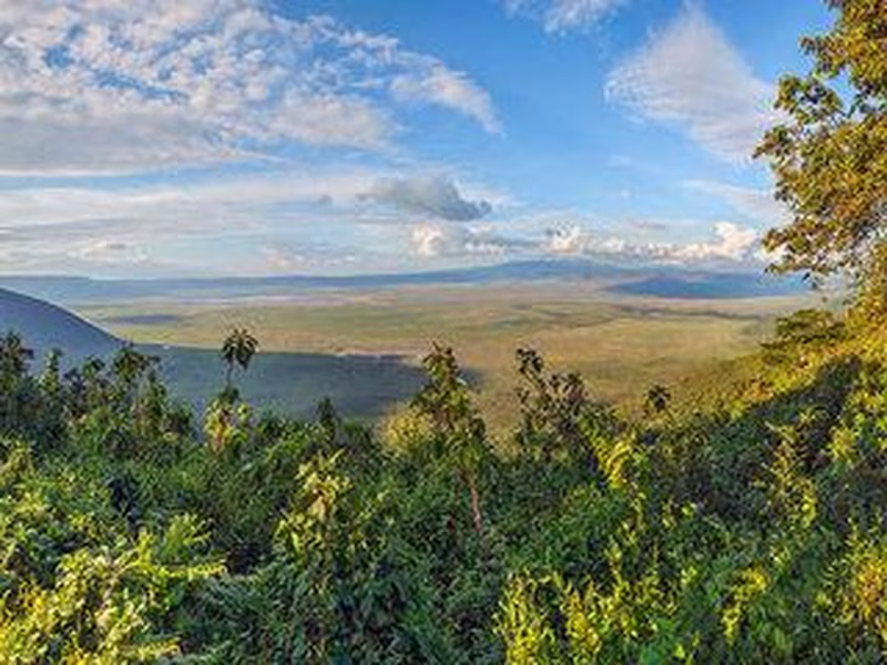 Rundreise Ngorongoro Krater Safari privat geführt