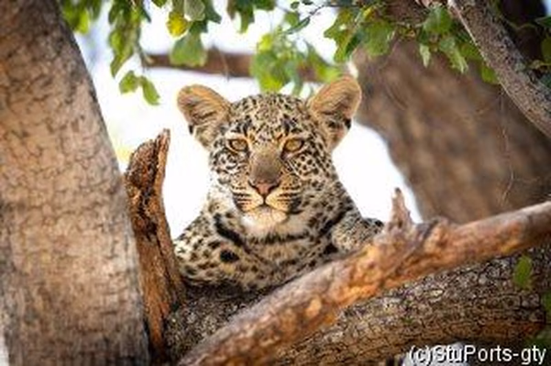 Südafrika: Von der Garden Route zu den Viktoriafällen