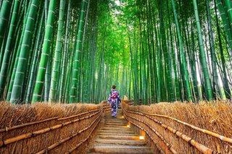 Rundreise - Japan Taka