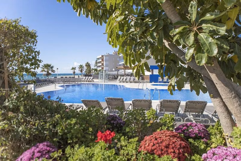 F67813277CF11B31A34B152EAAB0BC1D