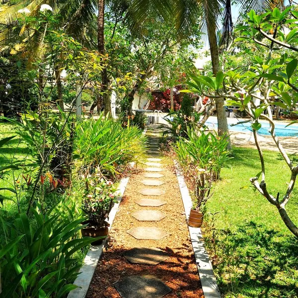 Ypsylon Resort
