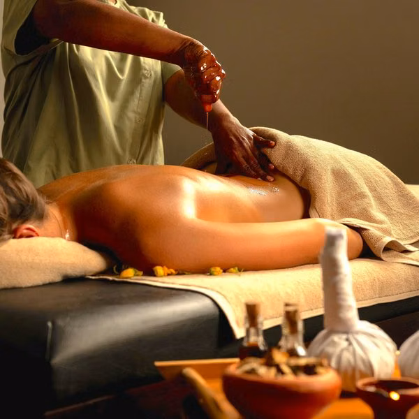 Ayugiri Ayurveda Wellness Resort
