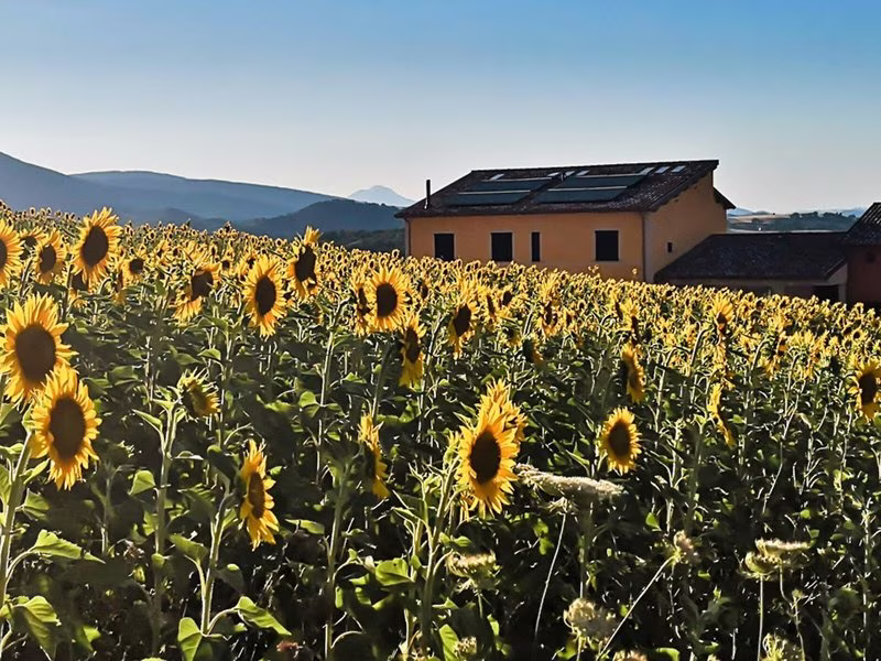 56FD0FF44F7C5D9AADCB8F999F8C9DB2