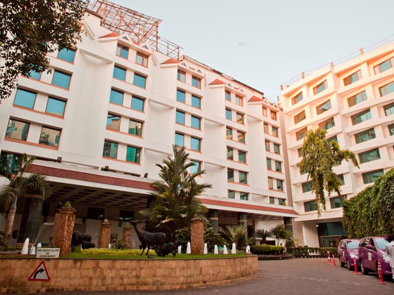 The Orchid