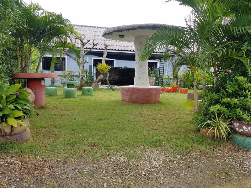 4C87B578AAFA02398F64E2D2A28A8CC2