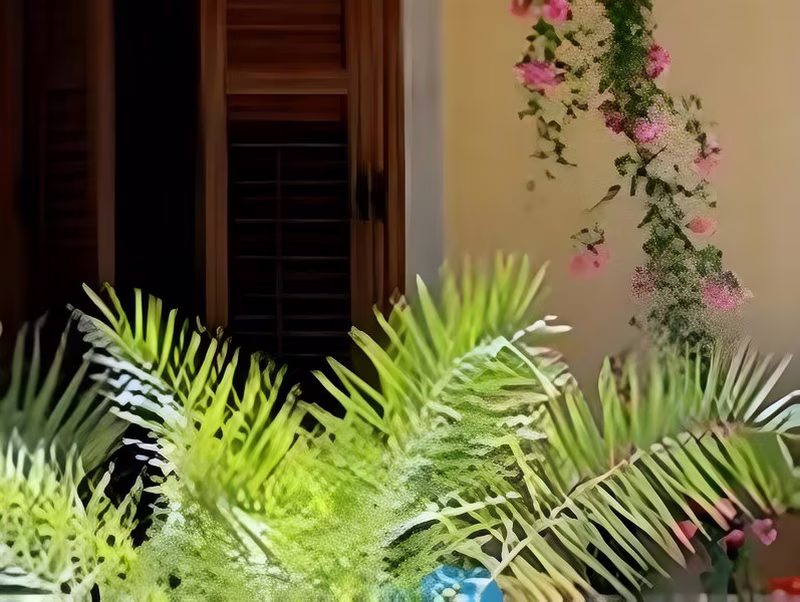 00660C40D556862B006CF145E169EFC2