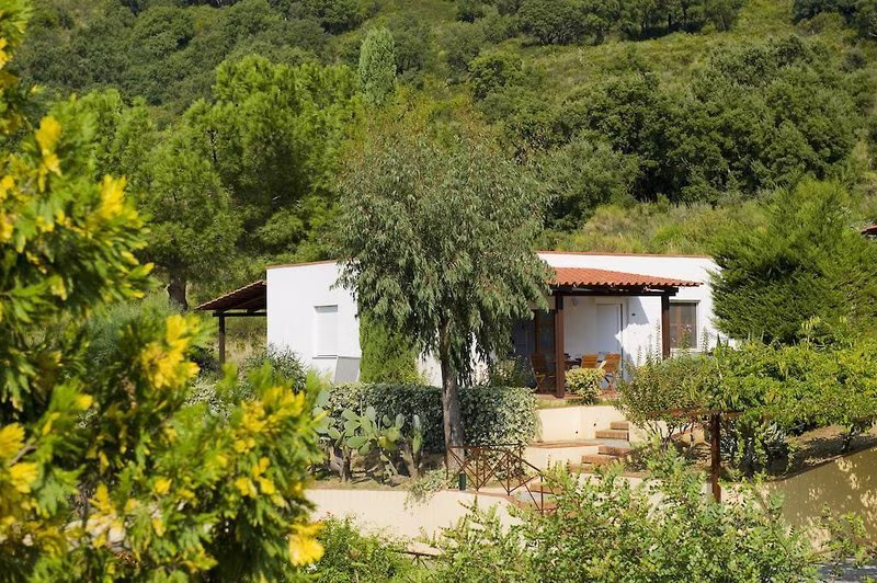 65A42F1FDE73E9F74DFBC351D73A470E