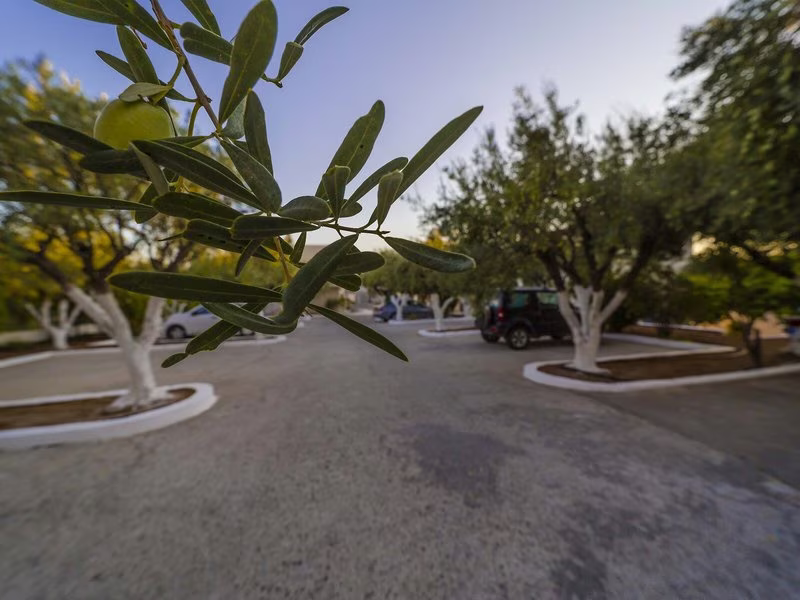 5CBD21CA50B6E4986BACDD306C24F5F6