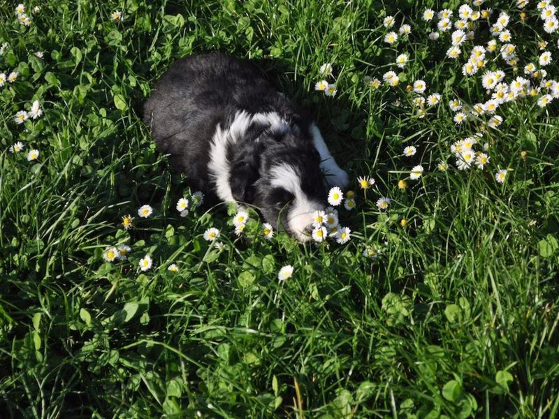 6F60CF2D010F542BEF0D4AF134672B53