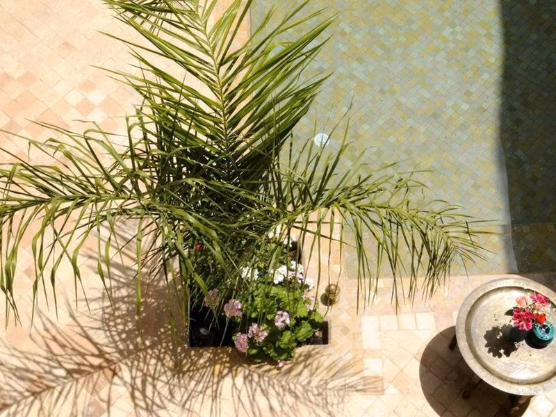 Riad Les Hibiscus