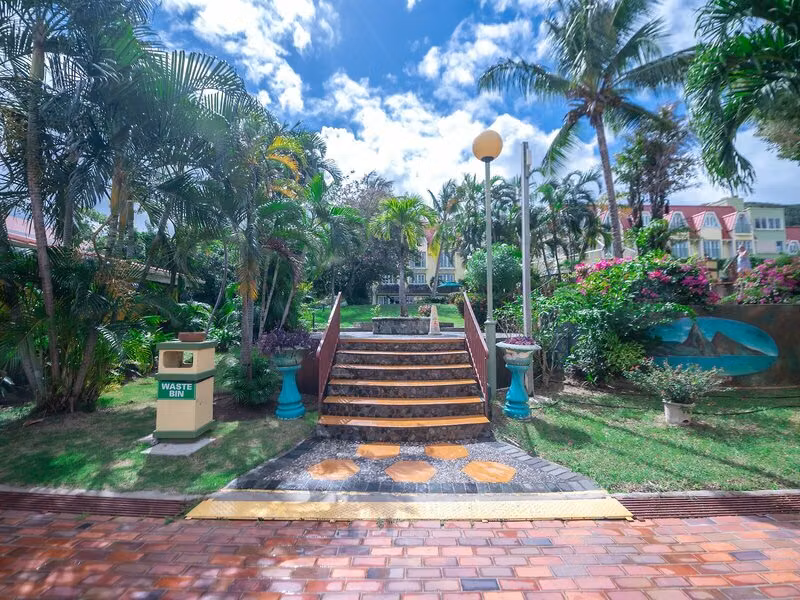 Coco Palm