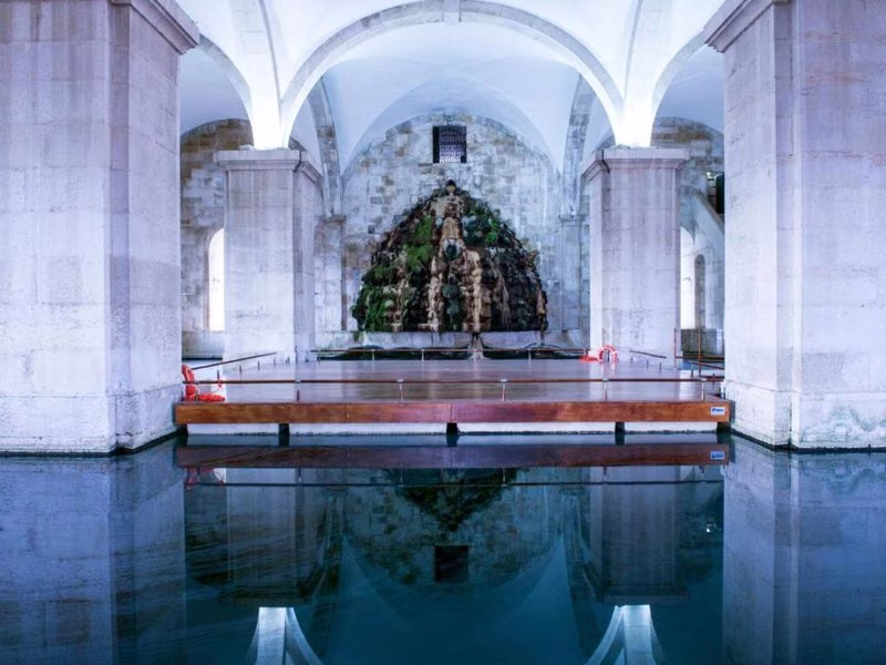 Dom Pedro Lisboa