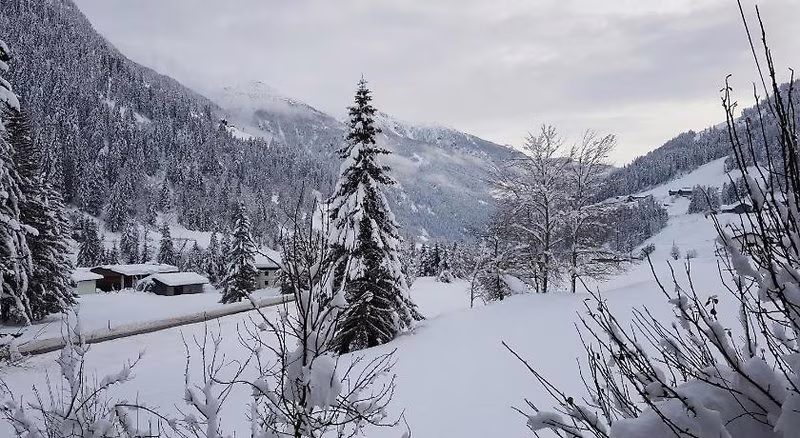 C903931B7D87AF5BBBD5A7C8AB4F9AEC