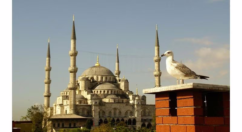 E271C2D228DF11BEC42164A303EF8846