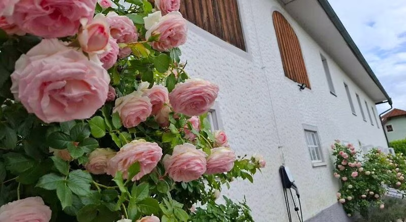 854E380D42C0E2FF1D2C7F198252D814