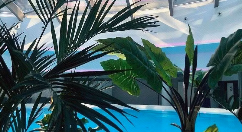 D62F43010EDD2A8770D7778D946E1EB6