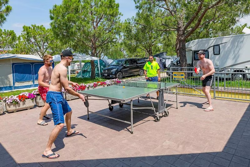 Camping Le Palme