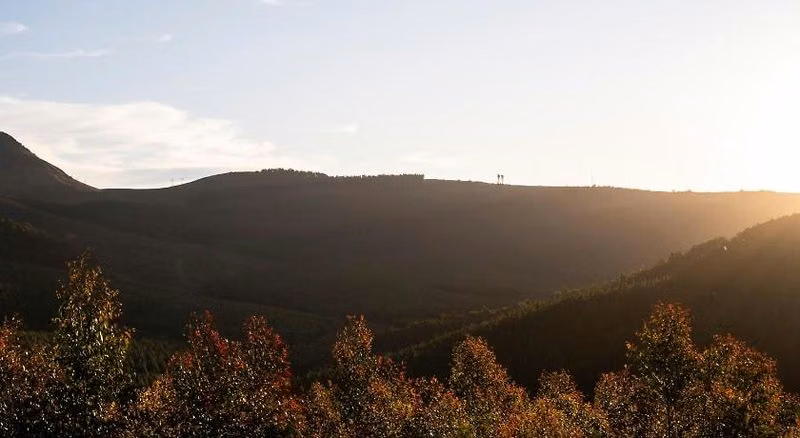 ANEW Resort Ingeli Forest