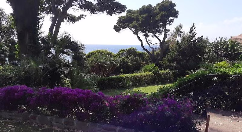 99EFEA01ED29D144EB16E3E17EB6DD95