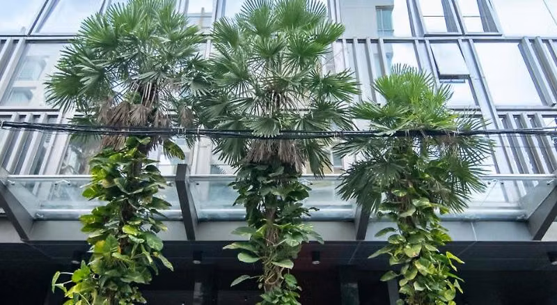 Galleria Sukhumvit 10 Bangkok by Compass Hospitality
