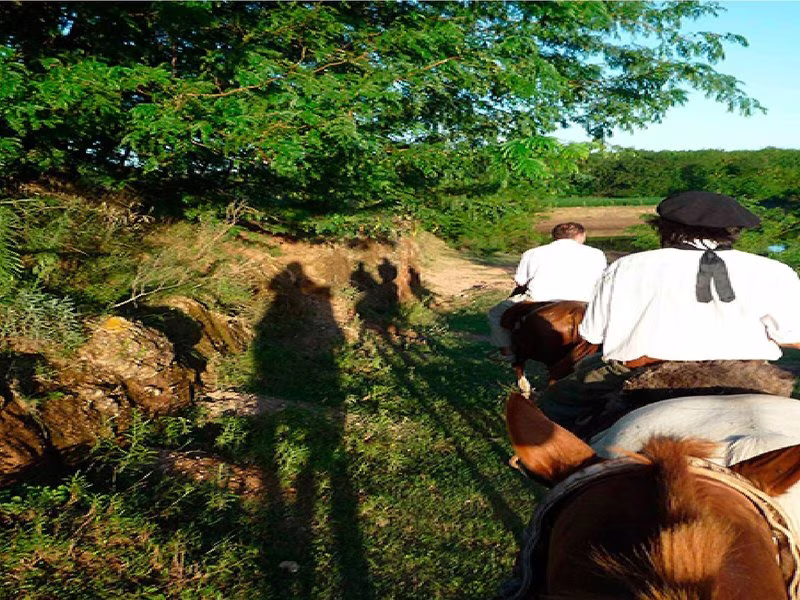 F7FEA24D4E851DC97B6617CCB26EFFF3