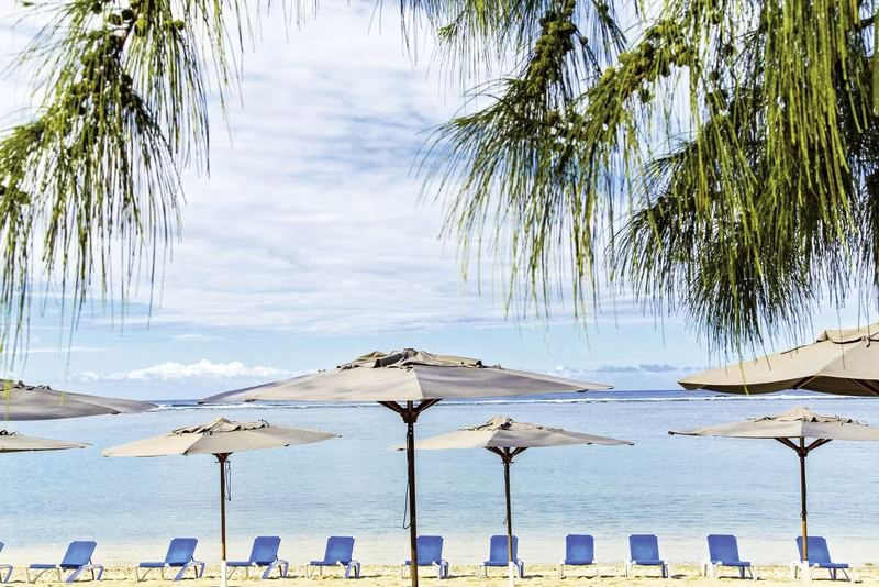 466CE57ECB7FD09DB2D18BB24507C419