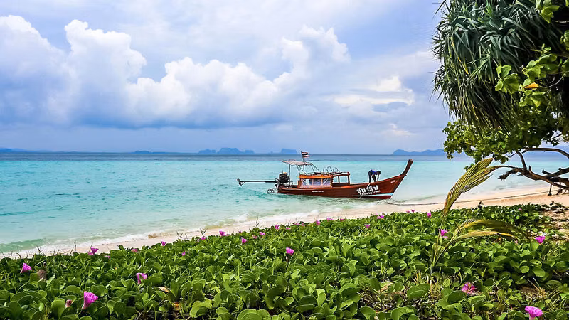 4CACDD611753DBE9AB988A2319B96E80