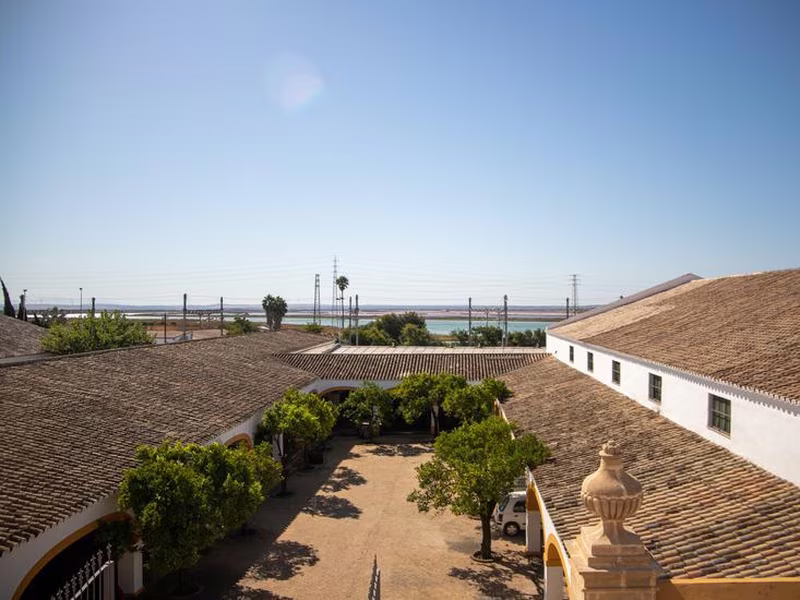 AlegrIa Bodega Real