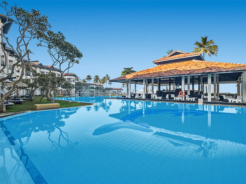 Club Dolphin