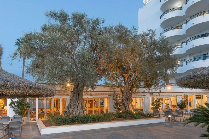 Alcudia Beach Aparthotel