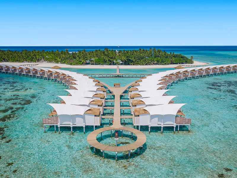Cinnamon Hakuraa Huraa