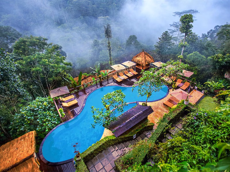 Nandini Jungle by Hanging Gardens