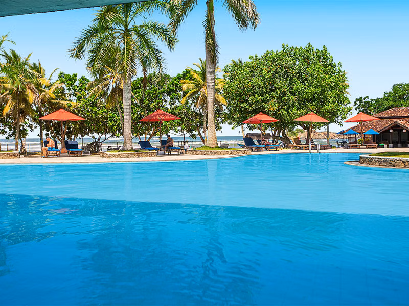 The Palms
