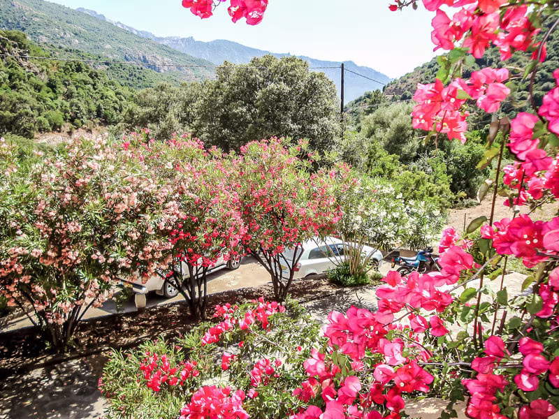 Residence Cabanaccia Studio 38m² / 4 pax