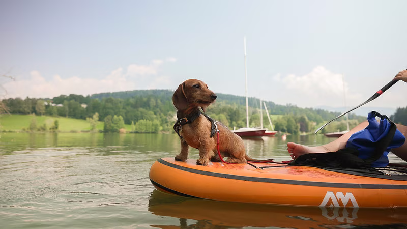 Dorf am Maltschacher See