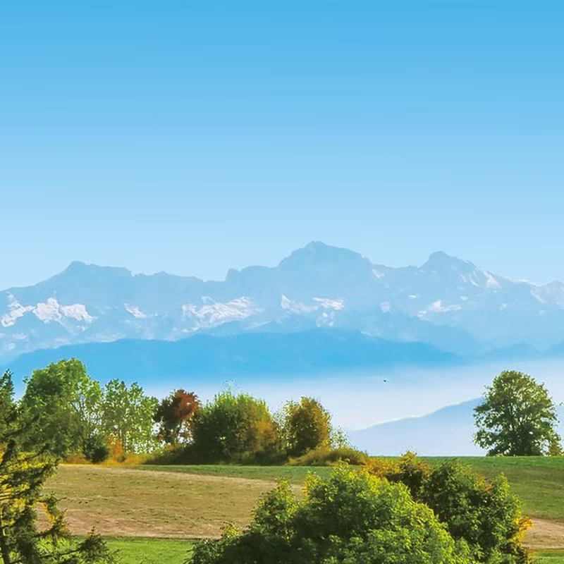 Alpenblick