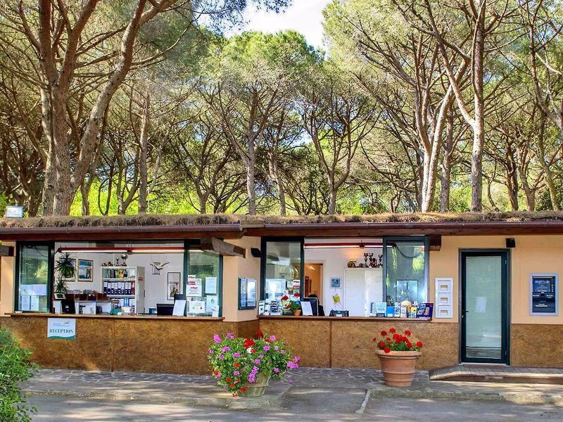 Maremma Sans Souci